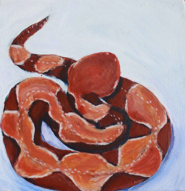 Copperhead Snake painting