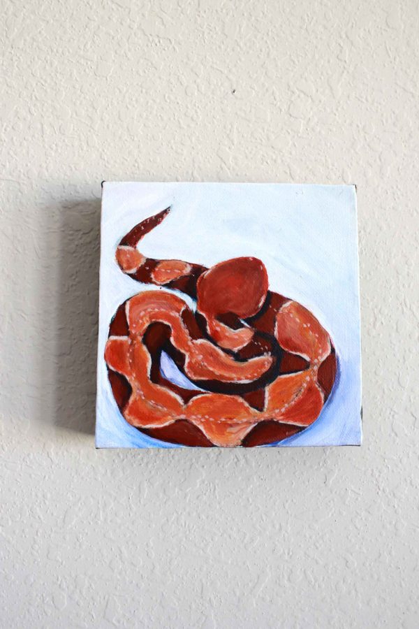Copperhead Snake painting